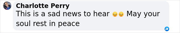 Comment expressing sadness and condolences for the death of King Of The Hill voice actor Jonathan Joss in San Antonio shooting.