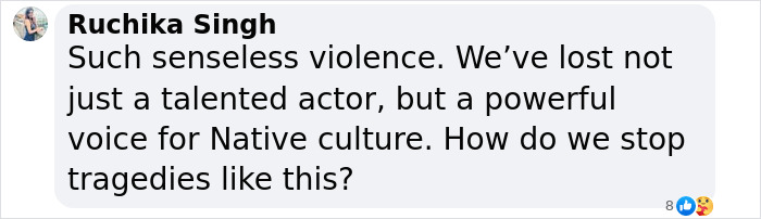 Comment expressing grief over the death of King Of The Hill voice actor Jonathan Joss and concerns about senseless violence.