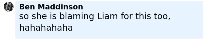 Screenshot of a social media comment discussing Miley Cyrus being fired from kids movie over cake shaped like male genitalia.