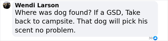 Comment about finding a dog&rsquo;s scent at the campsite, mentioning a GSD and tracking capability.
