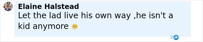 Comment by Elaine Halstead expressing support for Brooklyn Beckham wanting no contact with parents amid feud.