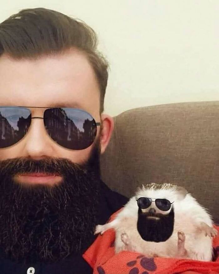 Man and hedgehog both wearing sunglasses and beards, a funny moment that made people go hmmm and share new pics.