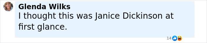 Comment by Glenda Wilks mentioning Janice Dickinson, displayed on a light blue background with social reaction icons.