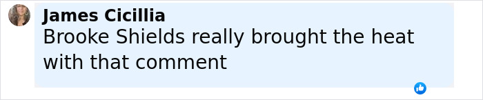 Comment by James Cicillia about Brooke Shields bringing heat in a discussion related to Meghan Markle podcast interview.