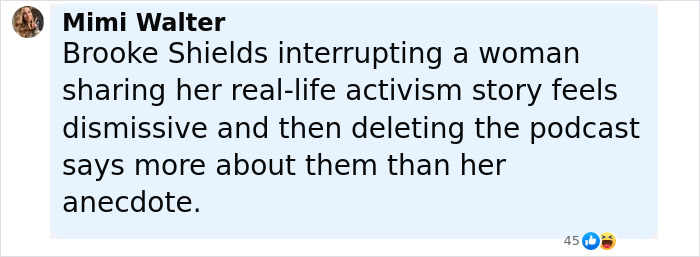 Comment about Brooke Shields podcast interview on Meghan Markle, mentioning interruption and podcast deletion controversy.