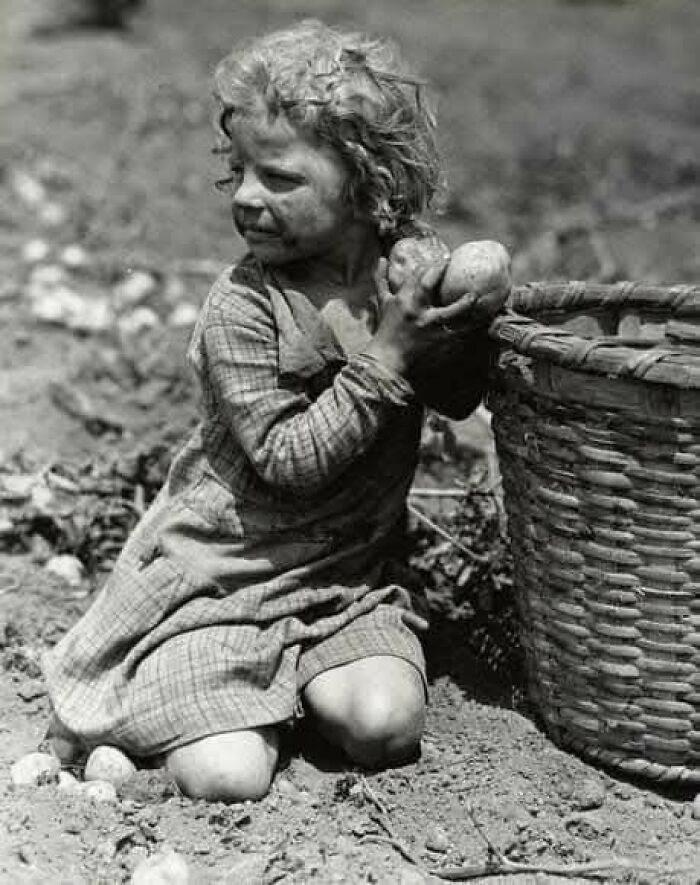 Child kneeling in dirt holding potatoes next to large basket, a timeless photo showing what the past looked like.