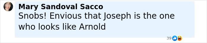 Comment from Mary Sandoval Sacco noting Joseph looks like Arnold Schwarzenegger, highlighting look-alike love child and family snub. Comment from Mary Sandoval Sacco noting Joseph looks like Arnold Schwarzenegger, highlighting look-alike love child and family snub.