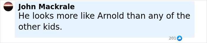 Comment highlighting Arnold Schwarzenegger’s look-alike love child compared to other kids, with a like count of 201. Comment highlighting Arnold Schwarzenegger’s look-alike love child compared to other kids, with a like count of 201.