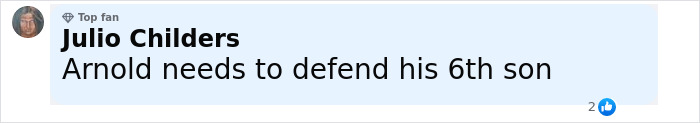 Comment by Julio Childers discussing Arnold Schwarzenegger’s 6th son and family dynamics related to the look-alike love child. Comment by Julio Childers discussing Arnold Schwarzenegger’s 6th son and family dynamics related to the look-alike love child.