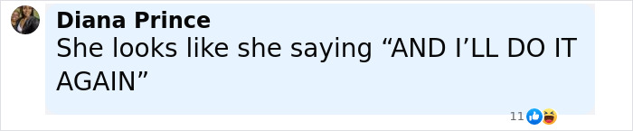 Comment by Diana Prince with profile picture, stating she looks like saying AND I'LL DO IT AGAIN, in a social media post.
