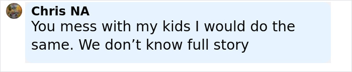 Comment on social media discussing a raging mom who drove a pickup truck through kids' park and ran over child's leg.