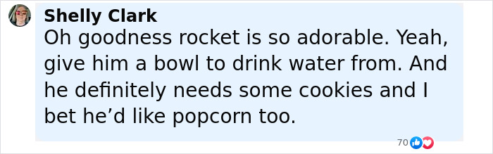 Baby Raccoon Rescued In The Most Wholesome Way After Getting Stranded On Doorstep In Heavy Rains Baby Raccoon Rescued In The Most Wholesome Way After Getting Stranded On Doorstep In Heavy Rains