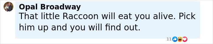 Baby Raccoon Rescued In The Most Wholesome Way After Getting Stranded On Doorstep In Heavy Rains Baby Raccoon Rescued In The Most Wholesome Way After Getting Stranded On Doorstep In Heavy Rains