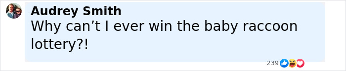 Baby Raccoon Rescued In The Most Wholesome Way After Getting Stranded On Doorstep In Heavy Rains Baby Raccoon Rescued In The Most Wholesome Way After Getting Stranded On Doorstep In Heavy Rains