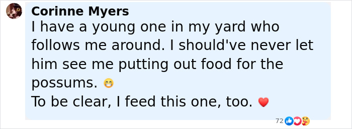 Baby Raccoon Rescued In The Most Wholesome Way After Getting Stranded On Doorstep In Heavy Rains Baby Raccoon Rescued In The Most Wholesome Way After Getting Stranded On Doorstep In Heavy Rains