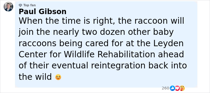 Baby Raccoon Rescued In The Most Wholesome Way After Getting Stranded On Doorstep In Heavy Rains Baby Raccoon Rescued In The Most Wholesome Way After Getting Stranded On Doorstep In Heavy Rains