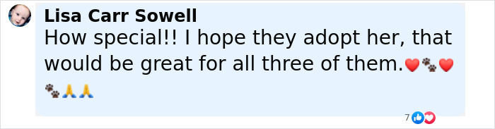Comment expressing hope that the shelter dog rescuer will be adopted, highlighting the bond and support among them. Comment expressing hope that the shelter dog rescuer will be adopted, highlighting the bond and support among them.