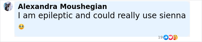 Comment from Alexandra Moushegian expressing need for support related to epilepsy, with reaction emojis visible below. Comment from Alexandra Moushegian expressing need for support related to epilepsy, with reaction emojis visible below.