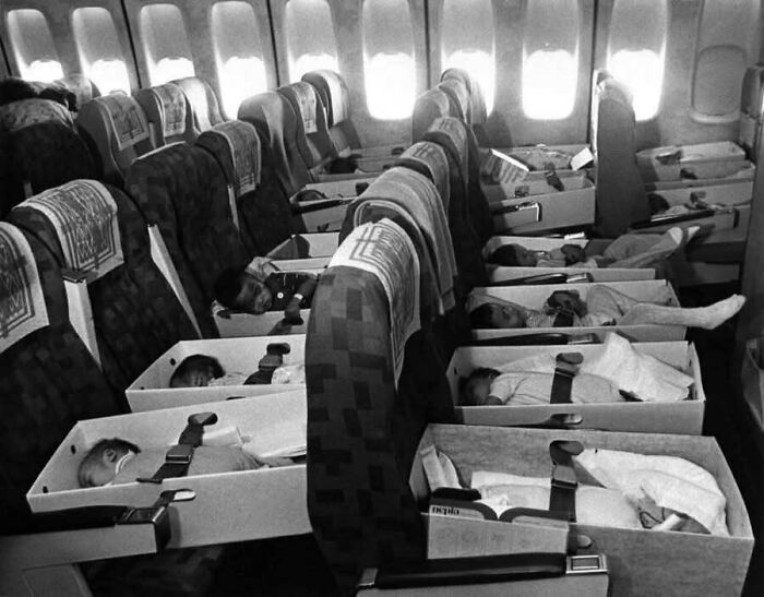 Bebés en cajas viajando en un avión, mostrando un lado distinto de la historia poco conocido y curioso.
