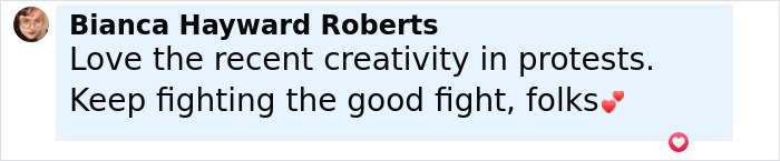 Comment by Bianca Hayward Roberts expressing support for creativity in protests and encouragement to keep fighting the good fight.