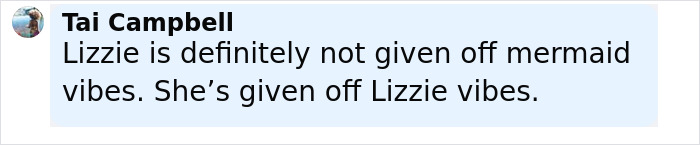 User comment about Lizzo's vibe, written in black text on a light blue background.