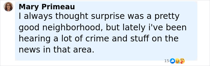 Comment by Mary Primeau expressing concern about rising crime in the Surprise neighborhood, related to 5th grade girls revenge plot. Comment by Mary Primeau expressing concern about rising crime in the Surprise neighborhood, related to 5th grade girls revenge plot.