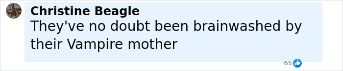 Comment by Christine Beagle expressing belief that Brad Pitt&rsquo;s children have been brainwashed by their mother after damaging Father's Day post.