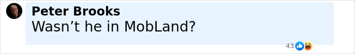Comment by Peter Brooks asking if someone was in MobLand, shown in a social media post about Norwegian Crown Princess&rsquo;s son facing charges.