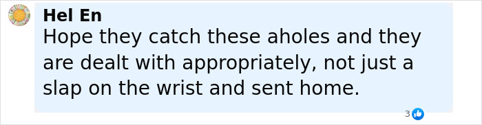 Comment expressing hope that teenagers responsible for fire extinguisher prank causing harm to 5-month-old baby face proper consequences