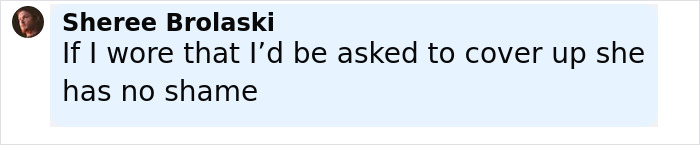 Comment by Sheree Brolaski criticizing outfit choice, mentioning covering up and lack of shame.