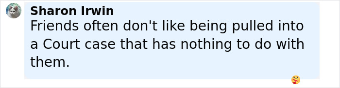 Comment from Sharon Irwin discussing court cases and friends' reactions, related to Johnny Depp Amber Heard trial issues.