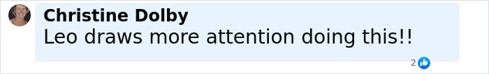 Comment from Christine Dolby saying Leo draws more attention, related to celebrity looks after weekend partying for Jeff Bezos and Lauren S&aacute;nchez's wedding.