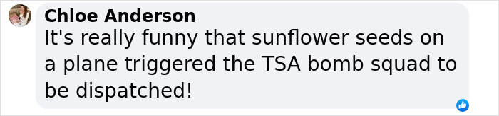 Comment by Chloe Anderson about TSA and bomb squad dispatched over sunflower seeds on a plane, related to Ellen Pompeo incident.