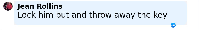Comment by Jean Rollins reading Lock him but and throw away the key under a profile photo on social media discussing John Wick TSA dog incident.