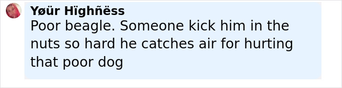 Comment by user expressing outrage after tourist allegedly kicked TSA dog at airport sparking punishment threats and public backlash.