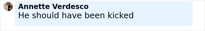 Comment by Annette Verdesco saying he should have been kicked in a light blue text box on a social media platform.