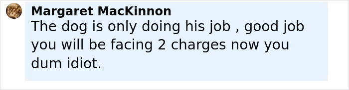 Comment from Margaret MacKinnon criticizing tourist facing charges after kicking TSA dog, reflecting airport outrage.