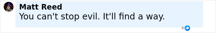 Comment box showing user Matt Reed stating you can't stop evil, relating to violence against women and syringe attacks at a music festival.