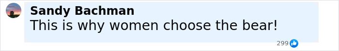 Comment on social media post reading this is why women choose the bear, highlighting conversation on violence against women at a music festival.
