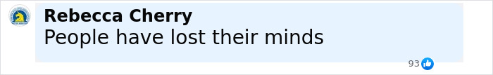Social media comment from Rebecca Cherry saying people have lost their minds, related to violence against women incidents.