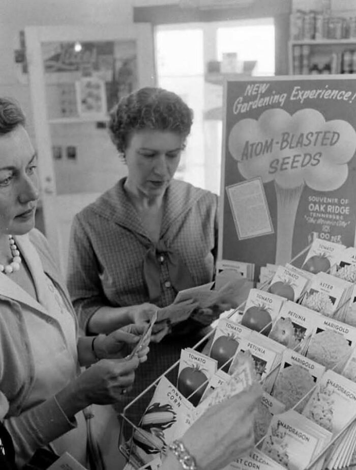 Two women examining atom-blasted seed packets at a display in a vintage gardening store, showcasing the past.