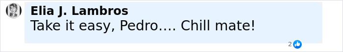 Screenshot of a social media comment by Elia J. Lambros telling Pedro to take it easy and chill. Screenshot of a social media comment by Elia J. Lambros telling Pedro to take it easy and chill.