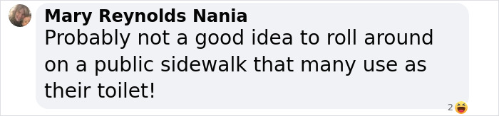 Comment by Mary Reynolds Nania warning about rolling on a public sidewalk used as a toilet, related to Miley Cyrus&rsquo; brutal infection.