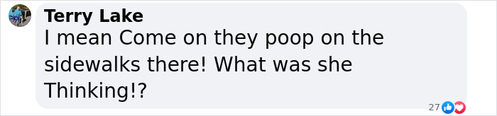 Comment by Terry Lake expressing frustration about behavior on sidewalks related to Miley Cyrus&rsquo; brutal infection speculations.