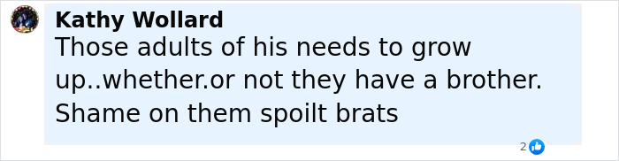 Comment about Arnold Schwarzenegger’s look-alike love child and step-siblings showing disappointment and family conflict online. Comment about Arnold Schwarzenegger’s look-alike love child and step-siblings showing disappointment and family conflict online.