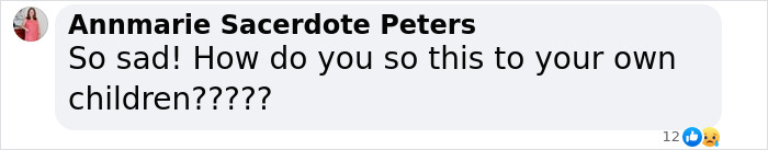 Comment expressing sadness and disbelief about a fugitive dad who took the lives of his three daughters.