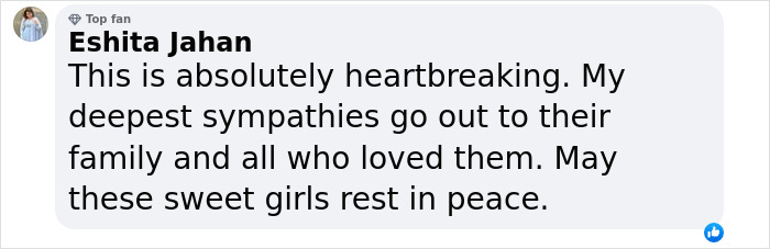Comment expressing heartbreak and sympathy for the family of three daughters taken by fugitive dad.