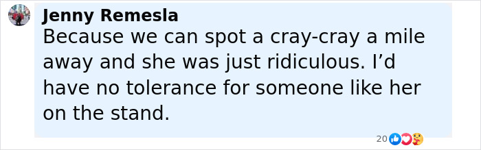 Comment excerpt from Johnny Depp trial juror Jenny Remesla sharing courtroom thoughts on witness credibility and tolerance.