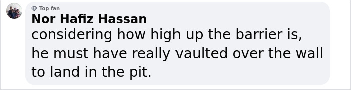 Comment by Nor Hafiz Hassan discussing a tourist vaulting over a high barrier to land in an 18-foot pit near ancient statues. Comment by Nor Hafiz Hassan discussing a tourist vaulting over a high barrier to land in an 18-foot pit near ancient statues.