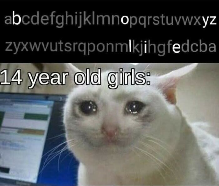 Meme with alphabet text and a crying cat expressing emotions, a relatable image people saw that made them go hmmm.
